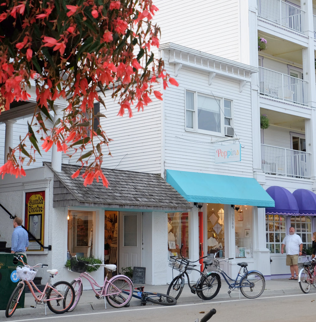 Two Little Shops on Mackinac Island