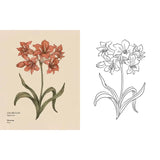 Floriography Coloring Book By Jessica Roux Paperback; 96 pages, English