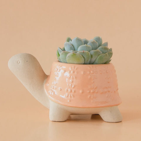 Sunset Small Turtle Planter