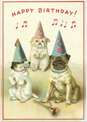 Happy Birthday Dogs Sitting Hats Card