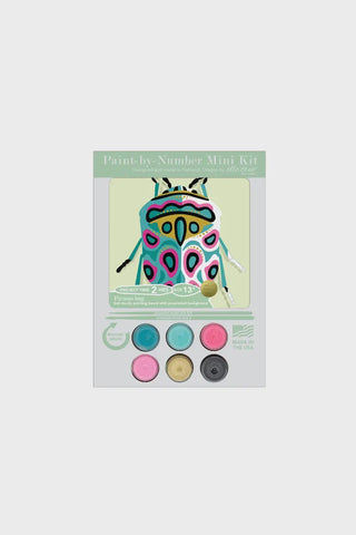 Picasso Bug Mini Paint By Number Kit
